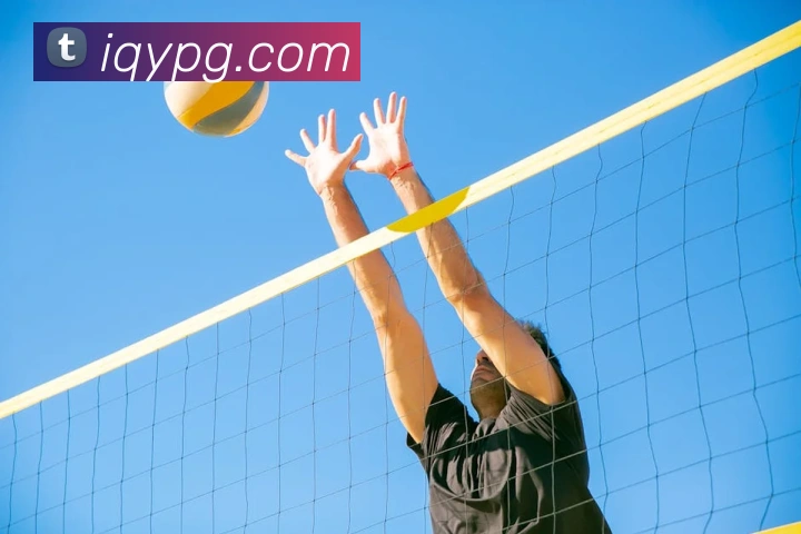 pg模拟器全站App